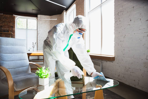 Professional Mold Removal in West Columbia, SC